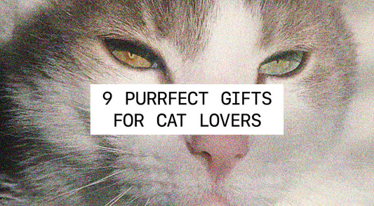 9 Purrfect Gifts for Cat Lovers