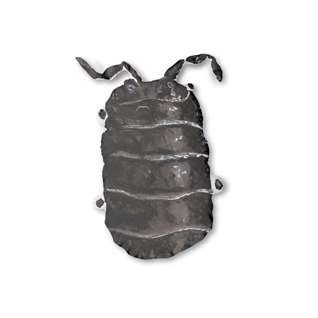 'Lump O Coal' Pillow