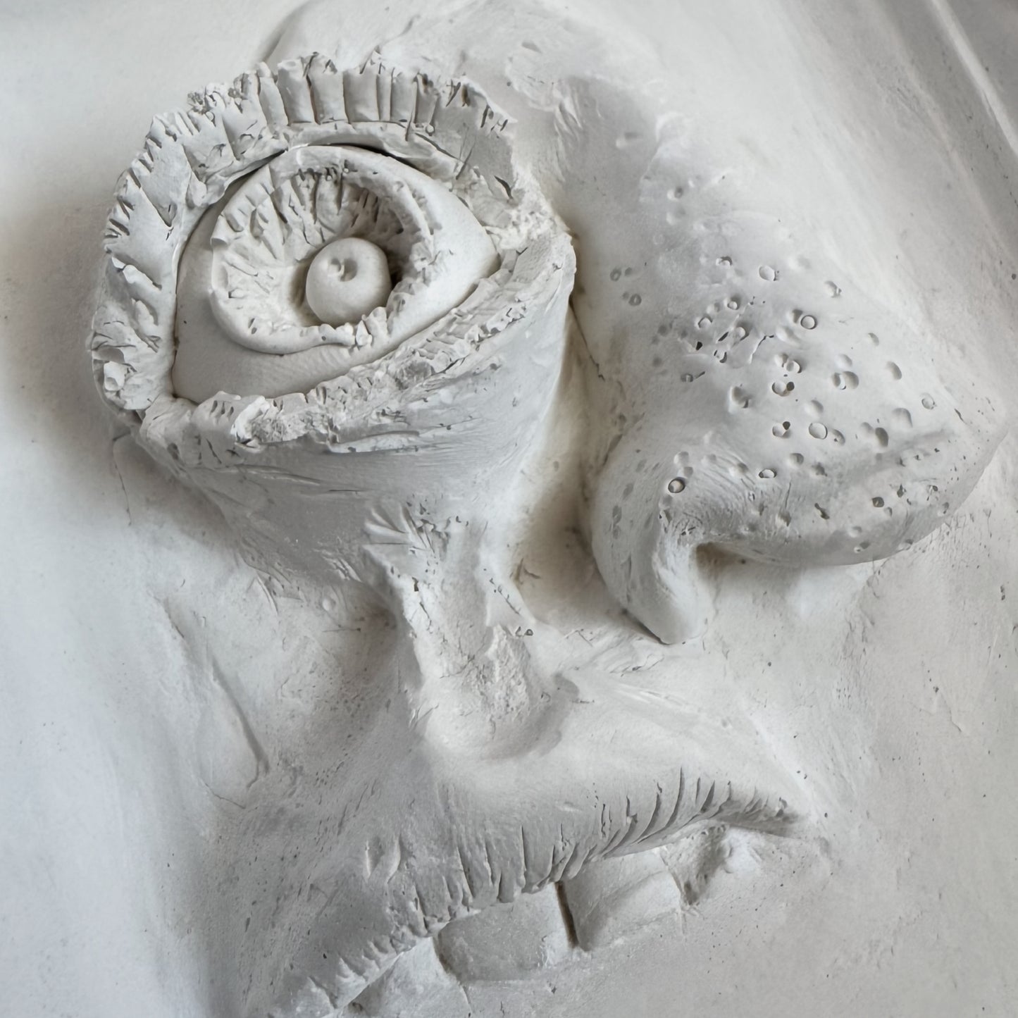 'Beautiful Face' Wall Hanging