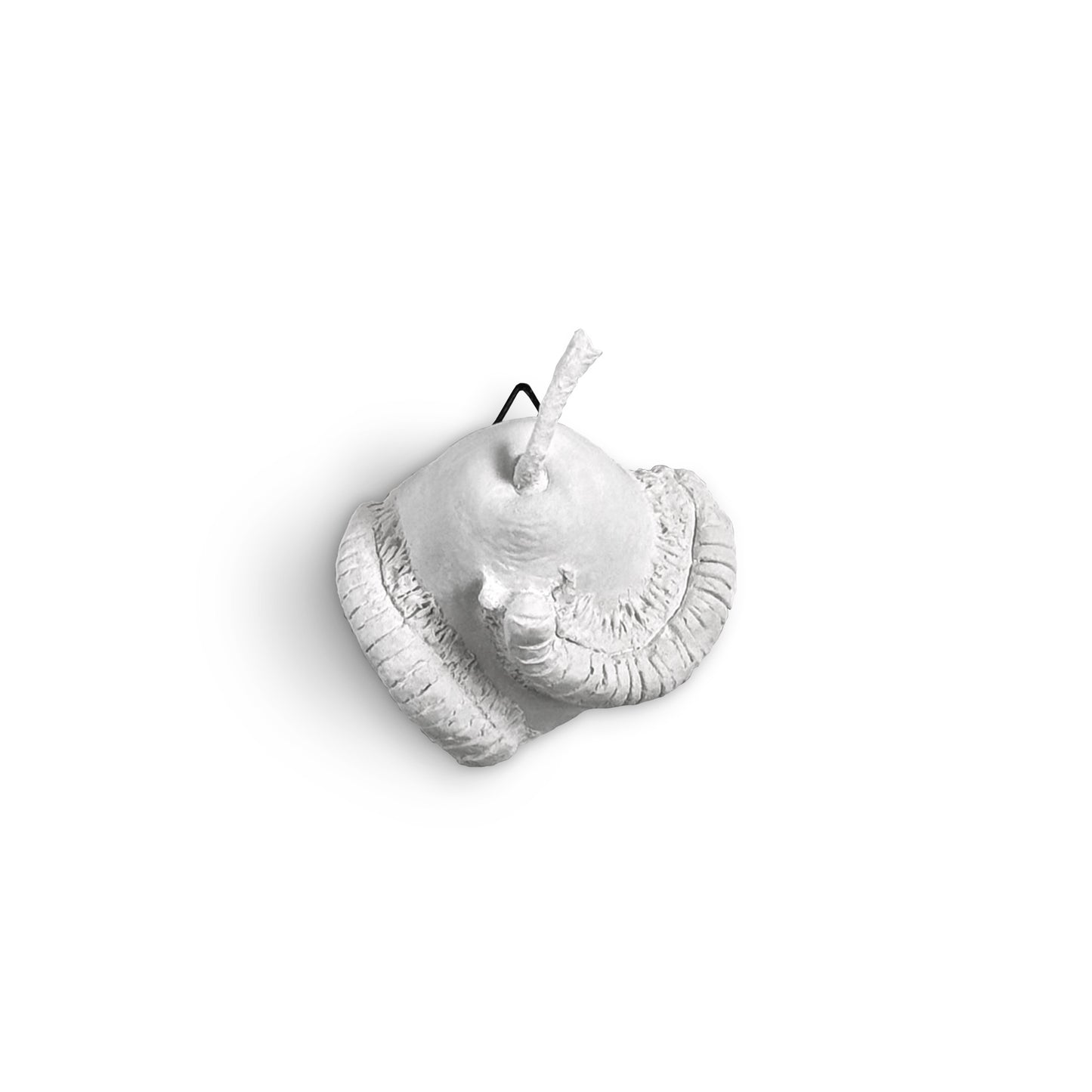 'Herbivore' Wall Hanging