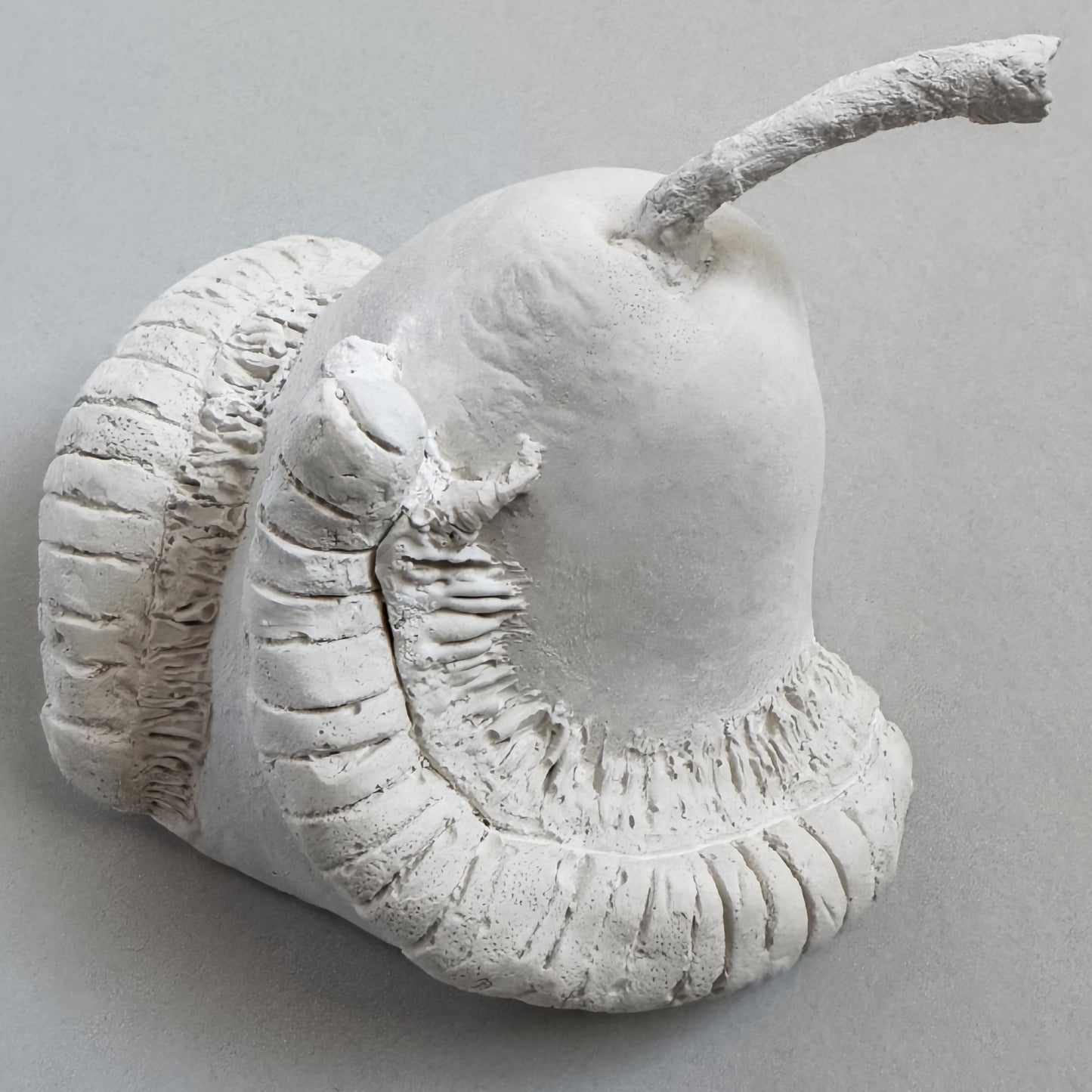 'Herbivore' Wall Hanging