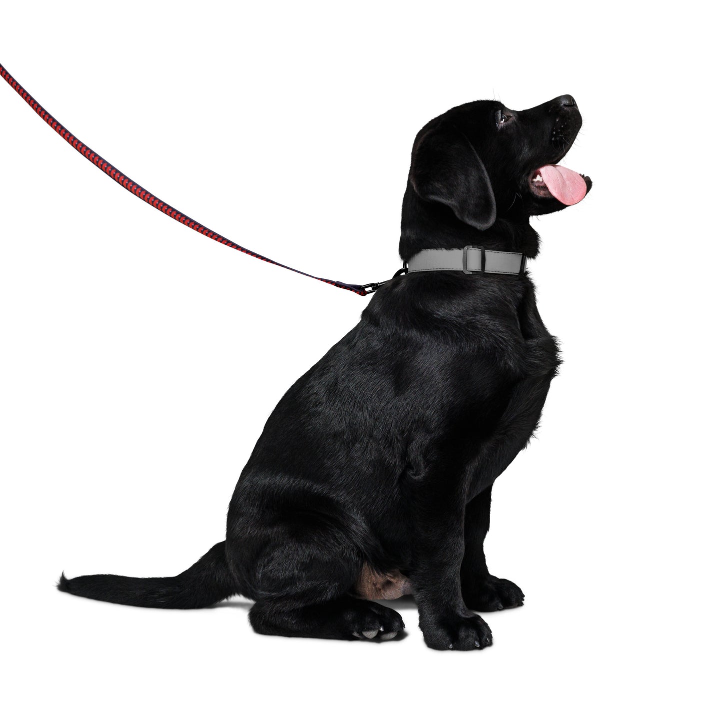 'Best Friend' Leash